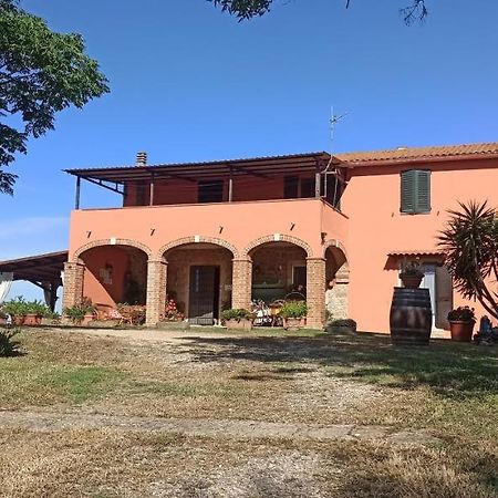 Agriturismo Marruchetone Vecchio Manciano Dış mekan fotoğraf