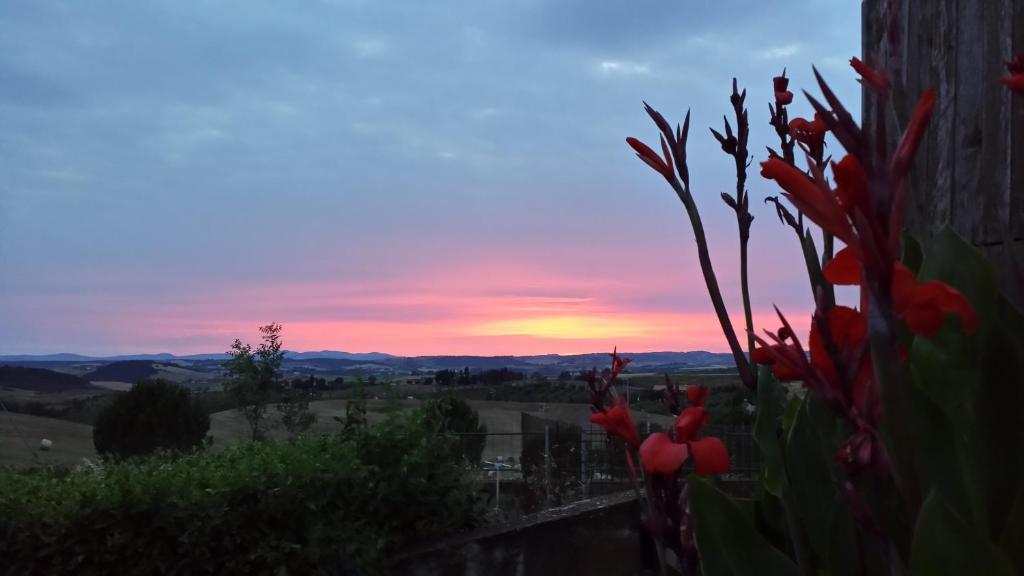 Agriturismo Marruchetone Vecchio Manciano Dış mekan fotoğraf